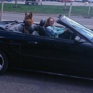 Meet your Posher, Joan